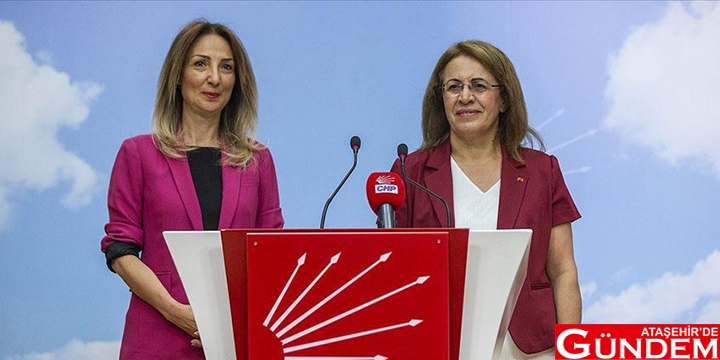 CHP KADIN KOLLARINDA DEVİR TESLİM YAPILDI CHP KADIN KOLLARINDA DEVİR TESLİM